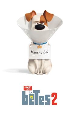 Affiche du film Comme des bêtes 2