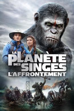 Affiche du film La Planète des Singes : L'Affrontement