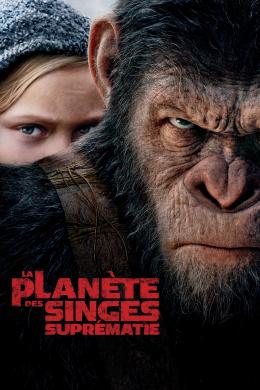 Affiche du film La Planète des singes : Suprématie