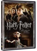 Harry Potter et les Reliques de la mort : 1re partie DVD Edition Simple