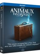 Les Animaux Fantastiques Blu-ray Edition Simple