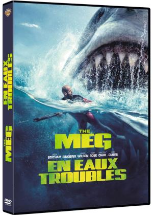 En eaux troubles DVD Edition Simple