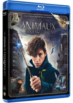 Les Animaux Fantastiques Blu-ray Edition Simple