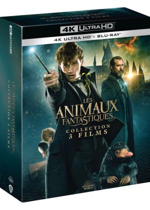 Les Animaux fantastiques Coffret 4K Ultra HD + Blu-ray