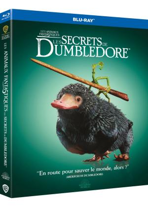 Les animaux fantastiques : Les secrets de Dumbledore Blu-ray Edition Simple