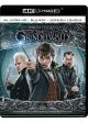 4K Ultra HD + Blu-ray Les Animaux Fantastiques : Les Crimes de Grindelwald