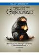 Blu-ray Les Animaux Fantastiques : Les Crimes de Grindelwald